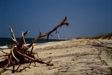hatteras_07.jpg