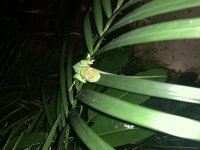 IMG_0526.jpg