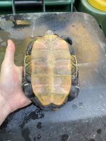 IMG_0557.jpg