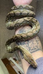 IMG_1684.jpeg
