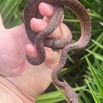 IMG_3422.jpeg