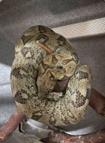 IMG_5956.jpeg