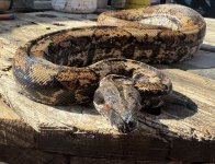 IMG_3812.jpeg