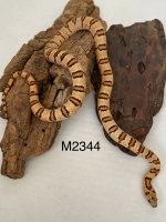 IMG_1050.jpeg