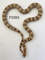IMG_1088.jpeg