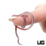 ug_cairo_blind_snake_4.jpg