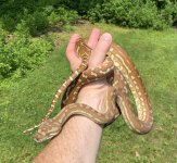 IMG_3933.jpeg