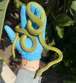 IMG_0501.jpeg