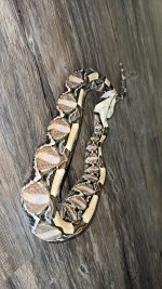 IMG_4792.jpeg