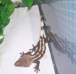 IMG_2219.jpeg