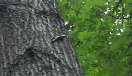 2011-05-15_14-18-46_936[1].jpg