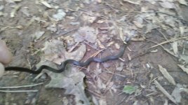 2011-05-15_15-02-10_804[1].jpg