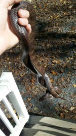 2011-10-18_14-36-37_566.jpg
