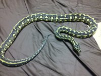 20120920_210610.jpg