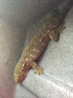 IMG_0031.jpg