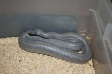 IMG_7637.jpg