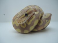 AA2014 BabiesAA 169 (425x319).jpg