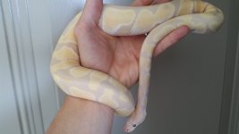 20150423_105658.jpg