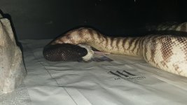 20170201_222832.jpg