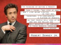 Robert Downey.jpg