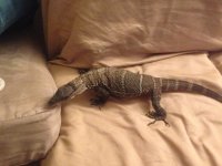 IMG_3313.jpg