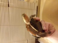 20181212_013936.jpg