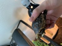 IMG_1344.jpeg
