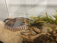IMG_4413.jpg