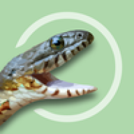 Yutyrannus