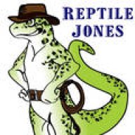 reptile_jones