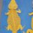 CarolinaClassicDragons