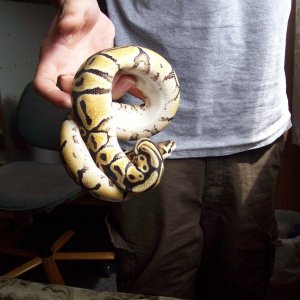 COLLECTION_056