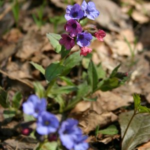 P1002225