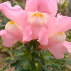 IMAG0567