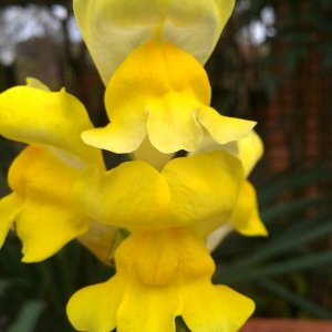 IMAG0577