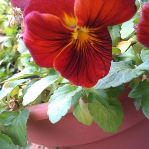 IMAG0584