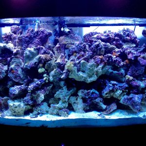 100_Gallon_5_16_14_1-2