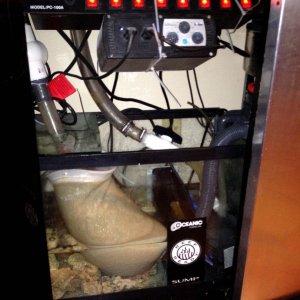100_Gallon_8_8_14_1-1