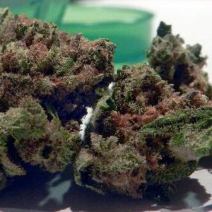 ORDER TOP QUALITY MARIJUANA PRODUCTS ONLINE