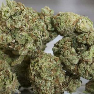 ORDER TOP QUALITY MARIJUANA PRODUCTS ONLINE