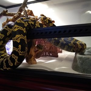 IMG_20210124_115115555