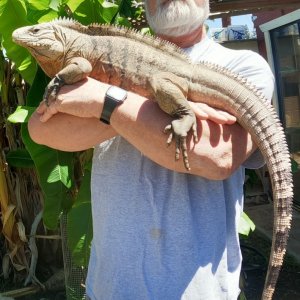 Cayman Brac
