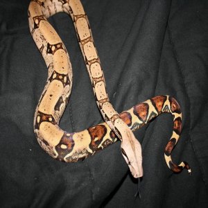 george_3