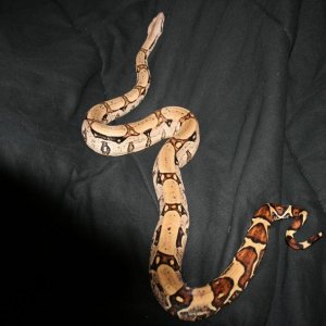 george_2