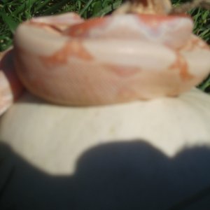 Picture_1025