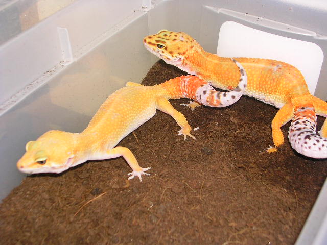 DSCN3608