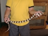 2006_0718snakes0004.JPG