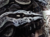 DSC000resize27.jpg