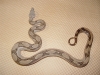 DSC00553.JPG
