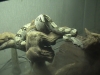 DSC00987.JPG